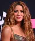 Cantante: Shakira