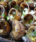 Comida: Los Caracoles de Bourgogne