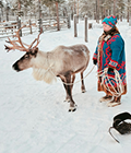 Excursión a una Aldea Sami en Abisko