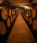 Bodegas de vino y cava en Barcelona Bodegas de vino y cava en Barcelona