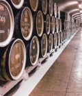 Excursión del vino de Castilla y León en Burgos Excursión del vino de Castilla y León en Burgos