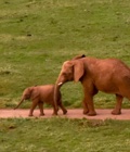 Parque de la  Naturaleza de Cabárceno en Cantabria
