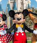Visita Disneyland Orlando en Florida