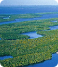 Parque Natural Everglades en hidrodeslizador en Florida