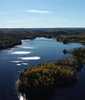 Excursión a Parque Nacional Liesjärvi en Helsinki