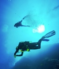 Buceo en Islas Baleares en Islas Baleares Buceo en Islas Baleares en Islas Baleares