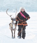Experiencia Cultura Sami en Kiruna