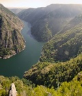 Excursión Ribera Sacra en Orense