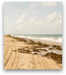 Normandía Día-D en París Normandía Día-D en París